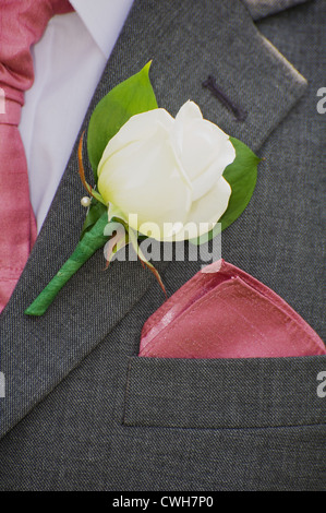 Petto di uno sposo o govern man a un matrimonio, indossa un abito formale con una camicia bianca e rosa cravatta e fazzoletto Foto Stock