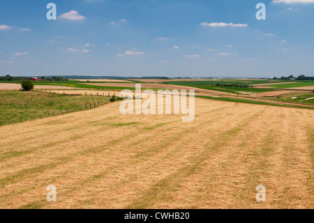 Il 1346 campo di battaglia a Crécy-en-Ponthieu nella guerra dei cento anni, Somme Picardia, Francia. Foto Stock