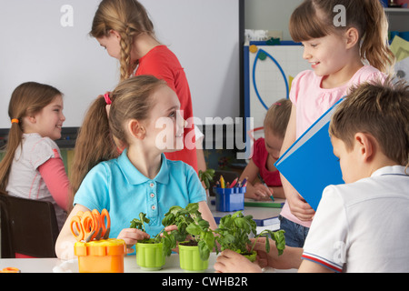 I bambini che imparano circa le piante nella classe della scuola Foto Stock