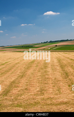 Il 1346 campo di battaglia a Crécy-en-Ponthieu nella guerra dei cento anni, Somme Picardia, Francia. Foto Stock