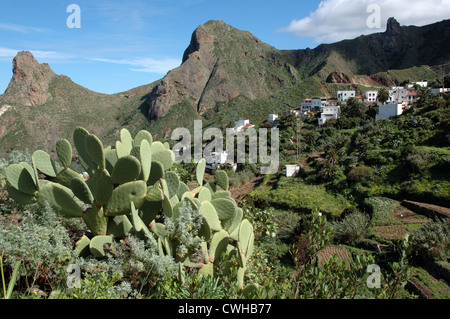 Taganana, Tenerife, Isole Canarie, Spagna Foto Stock