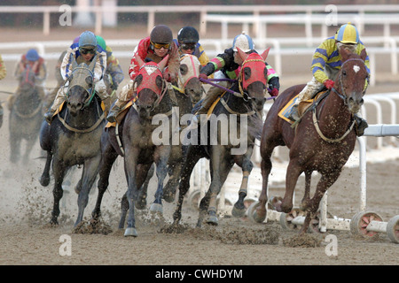 Seoul, cavalieri e cavalli sul lato sporco della pista in azione Foto Stock