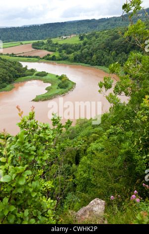Una brusca curva del fiume Wye in acqua alta vista da Wintours salto nella Foresta di Dean, Gloucestershire, Regno Unito Foto Stock