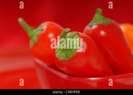 Più in rosso e arancione il peperoncino in un recipiente rosso con profondità di campo Foto Stock