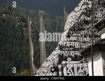 "Om mani padme hum' mantra buddista, spesso trovato scritto sulle pietre, o mani pareti nella regione di Everest, Himalaya, Nepal Foto Stock