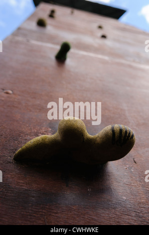 Bambini torre di arrampicata in corrispondenza di un centro di attività Foto Stock