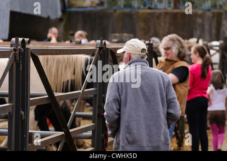 Horse trading di teh Ould Lammas Fair, Ballycastle Foto Stock