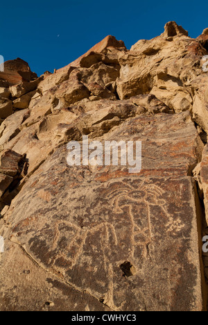 Palpa Perù di petroglifi Chichictara America del Sud Foto Stock