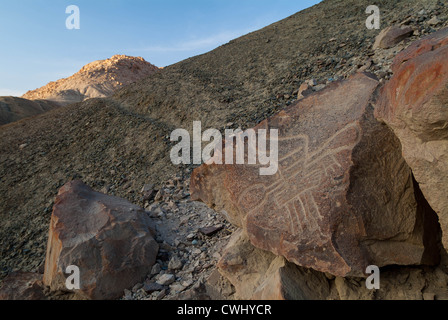 Palpa Perù di petroglifi Chichictara America del Sud Foto Stock