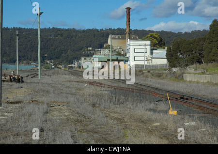 La polpa e la cartiera in Burnie, Tasmania Foto Stock