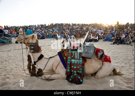 Decorate il camel davanti al palco principale, 'Festival au Desert"; deserto del Sahara, vicino a Timbuktu, Mali Foto Stock