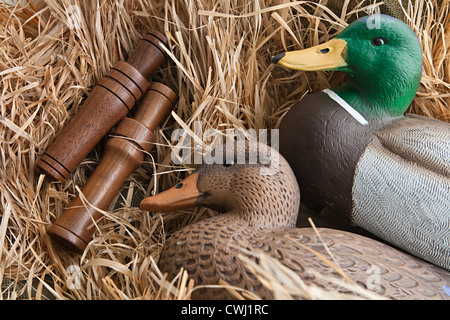 Duck decoy con ripieni e alcune chiamate Foto Stock