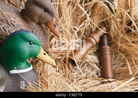 Duck decoy con ripieni e alcune chiamate Foto Stock