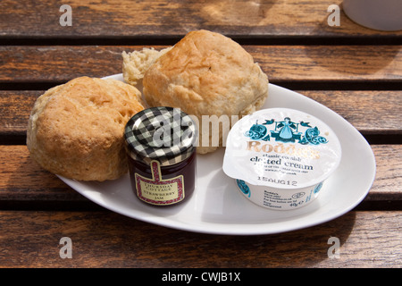 Tè alla crema con focaccine e clotted cream, Cornwall, Inghilterra, Regno Unito. Foto Stock