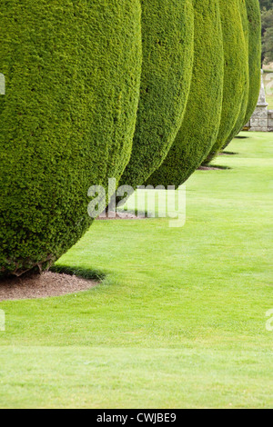 Lanhydrock house vicino a Bodmin in Cornovaglia, England, Regno ,unito. Foto Stock