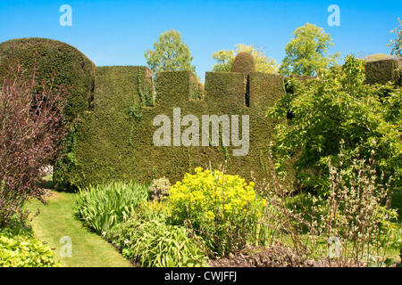 Topiaria da in motivi di Levens Hall, Cumbria Foto Stock