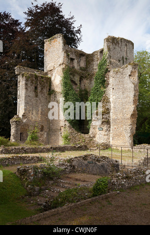 La rovina medievale del Vescovo di Waltham Palace in Hampshire Foto Stock