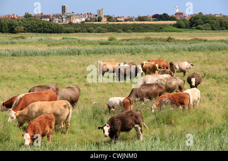 Southwold vista da Blyth fiume vicino a Walberswick, Suffolk Foto Stock