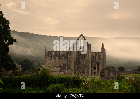 Abbazia di Tintern nel early MORNING MIST Foto Stock