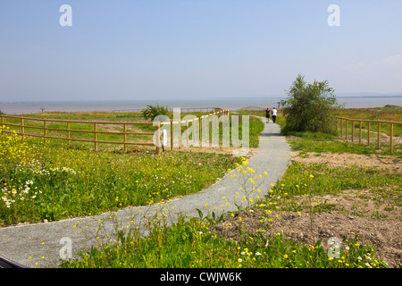 La fauna la passerella a Upcross Natura Park Thurrock Foto Stock
