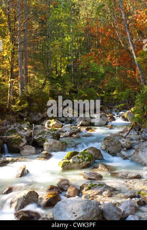 Flusso in zauberwald, Ramsau, Berchtesgaden, Germania, Europa Foto Stock