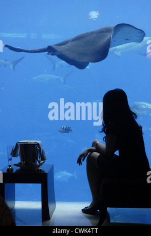 Le Camere Perdute suite dell'Hotel Atlantis, il Palm, Dubai, Emirati Arabi Uniti, Emirati Arabi Uniti,Golfo Persico, la Penisola Arabica, Asia Foto Stock