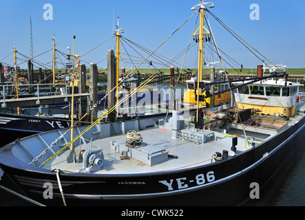 Barca da pesca / cozza cutter in porto di Yerseke lungo la Oosterschelde / Schelda Orientale, Zelanda, Paesi Bassi Foto Stock