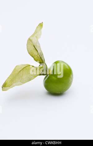 Physalis philadelphica. Un singolo tomatillo su uno sfondo bianco. Foto Stock