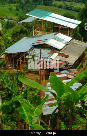 Edifici di una azienda di caffè nel Salento, Quindio Colombia, circondato da piante di banana Foto Stock