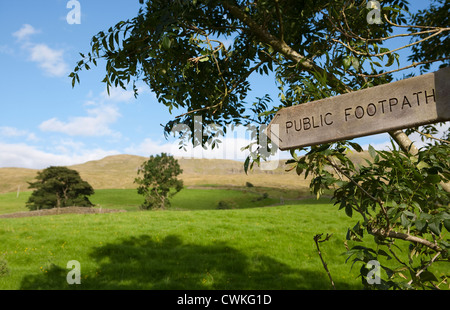 Fattoria Outhgill paesaggio vicino Mallerstang Valley in Kirkby Stephen, Est Cumbria, Regno Unito Foto Stock