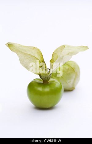 Physalis philadelphica. Due tomatilloes su uno sfondo bianco. Foto Stock