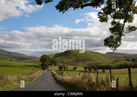 Agriturismo paesaggio rurale vicino a valle Mallerstang, Pennine Dales e la tomaia Eden Valley vicino a Kirkby Stephen, Est Cumbria, Regno Unito Foto Stock