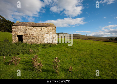 Fattoria Outhgill paesaggio vicino Mallerstang Valley in Kirkby Stephen, Est Cumbria, Regno Unito Foto Stock