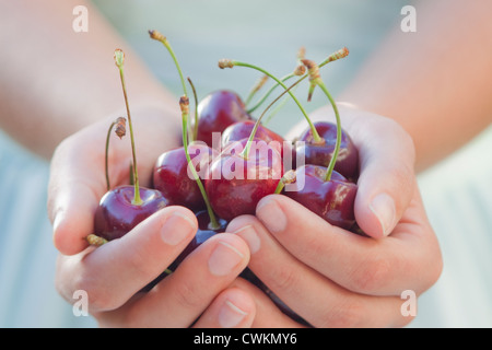 Donna mani tenendo alcune ciliegie fresche Foto Stock