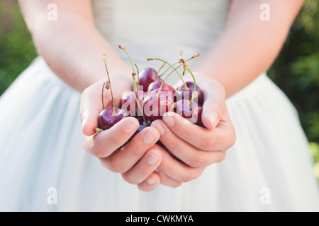 Donna mani tenendo alcune ciliegie fresche Foto Stock