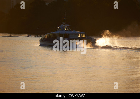 Brisbane citycat traghetto sul Fiume Brisbane Queensland Australia Foto Stock