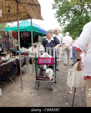 Donna polacca godendo di mercato delle pulci (Rynek) con cane serraglio nel carrello. Spala Polonia centrale Foto Stock