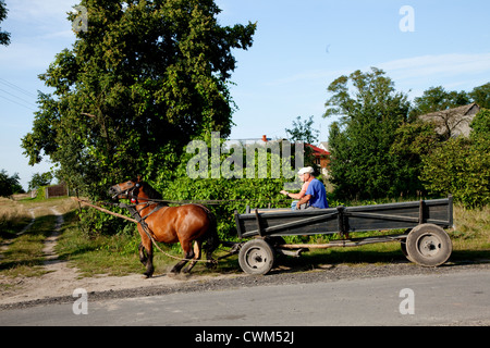 Cavallo tirando due colleghi nel carrello di legno o di un carro al supermercato. Mala Wola Polonia centrale Foto Stock