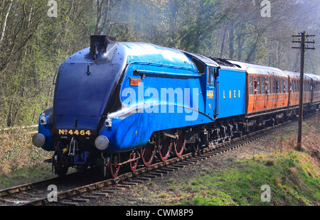 Un LNER4 Class n. 4464 "Tarabuso' capi verso Hampton Loade in Severn Valley Railway, Shropshire, Inghilterra, Europa Foto Stock