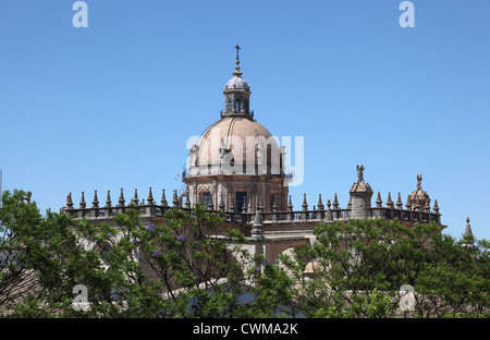 La Cattedrale di San Salvador in Jerez de la Frontera, Andalusia Spagna Foto Stock