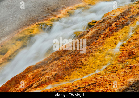 La fuoriuscita da Excelsior Geyser nel Midway Geyser Basin, il Parco Nazionale di Yellowstone, Wyoming , STATI UNITI Foto Stock