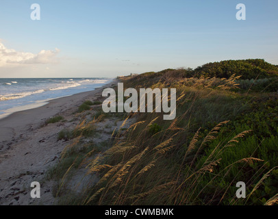 Sera sull'Oceano Atlantico sulla costa orientale della Florida con il mare di avena (Uniola paniculata) Foto Stock