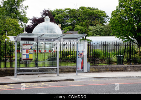 Bus Shelter su Queen Margaret Drive accanto ai Giardini Botanici nel West End di Glasgow, Scozia, Regno Unito Foto Stock