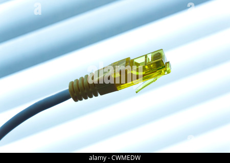 Ethernet RJ45 Connettore a spina per le reti di area locale Foto Stock