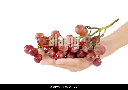 Mano femmina e uve rosse su sfondo bianco Foto Stock