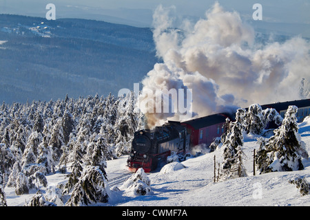 Treno a vapore Equitazione il Brocken ferrovia a scartamento ridotto linea nella neve in inverno presso il Parco Nazionale di Harz, Sassonia-Anhalt, Germania Foto Stock