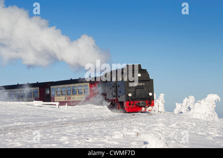 Treno a vapore Equitazione il Brocken ferrovia a scartamento ridotto linea nella neve in inverno presso il Parco Nazionale di Harz, Sassonia-Anhalt, Germania Foto Stock