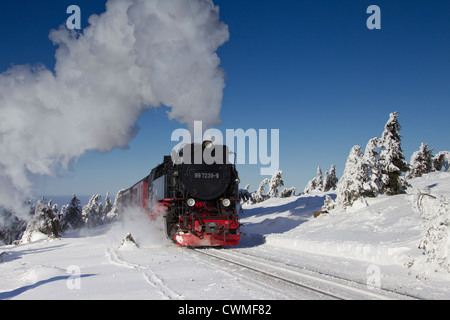 Treno a vapore Equitazione il Brocken ferrovia a scartamento ridotto linea nella neve in inverno presso il Parco Nazionale di Harz, Sassonia-Anhalt, Germania Foto Stock