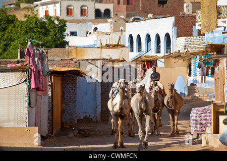 Gharb Soheil Nubian Village sulla sponda ovest del Nilo vicino a Aswan Egitto Foto Stock