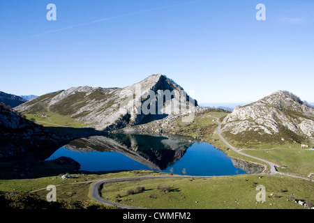 Enol Lago in Picos de Europa Asturias Foto Stock